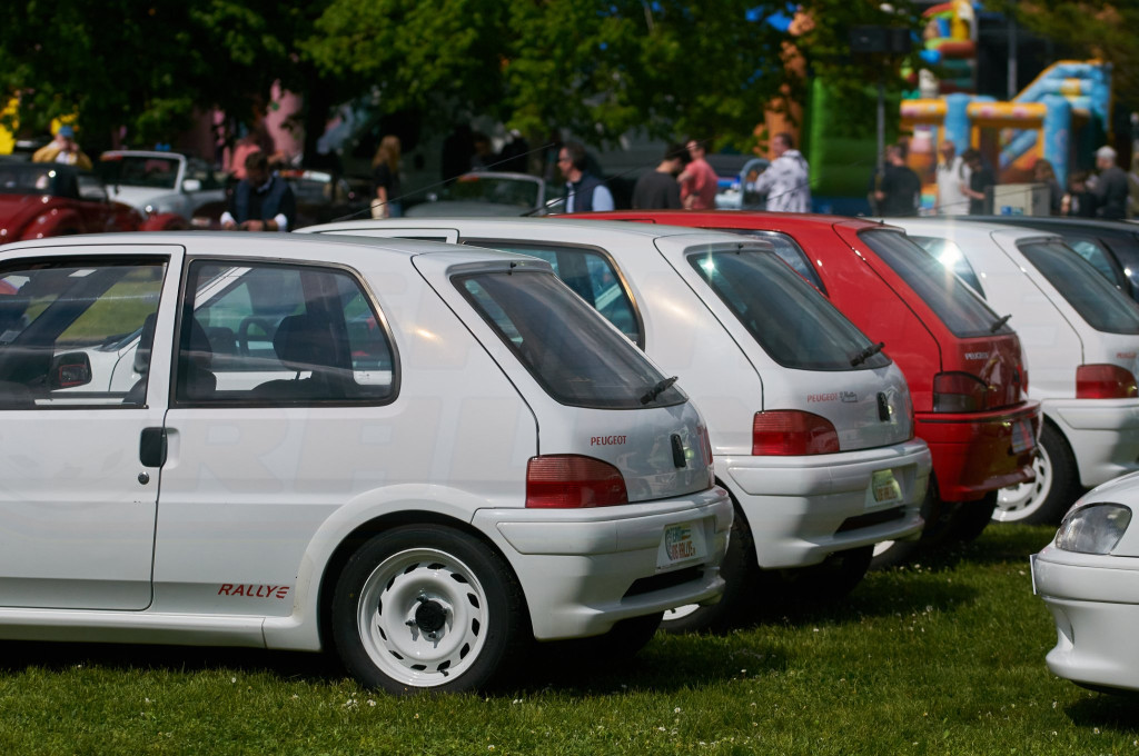 DSC_7355 1.jpg
