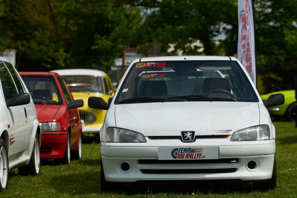 DSC_7384.jpg